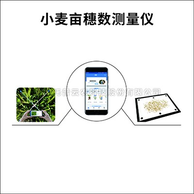 小麦亩穗数测量系统TPMS-1/TPMS-2