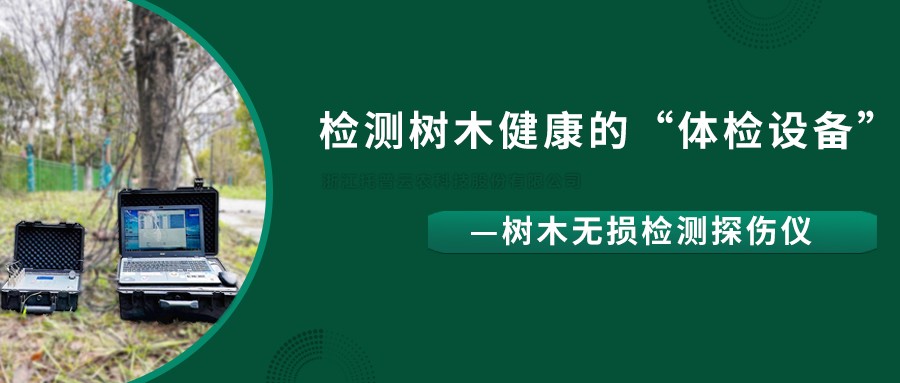 树木无损检测探伤仪精准检测树木健康状况，给出专业治疗方案