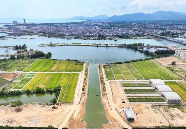 为盐碱地安上“技术芯片”，托普云农打造耐盐碱水稻科研试验基地建设解决方案