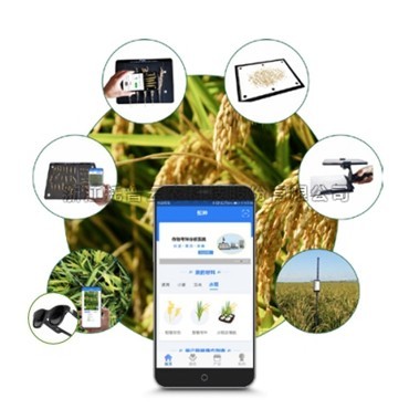 一文详解水稻表型检测系统是什么？