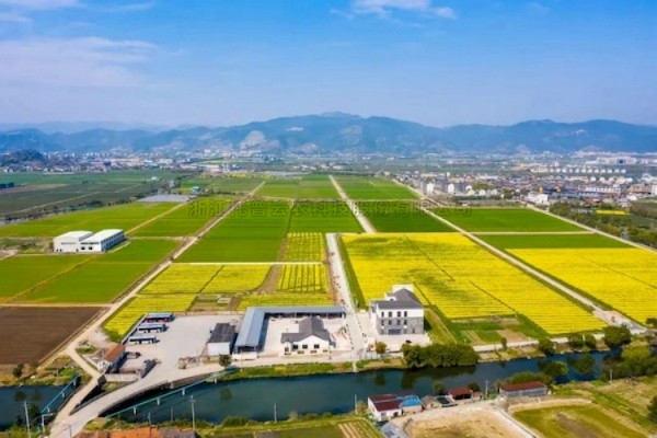 托普云农高标准农田建设答卷：用实践书写政策新篇