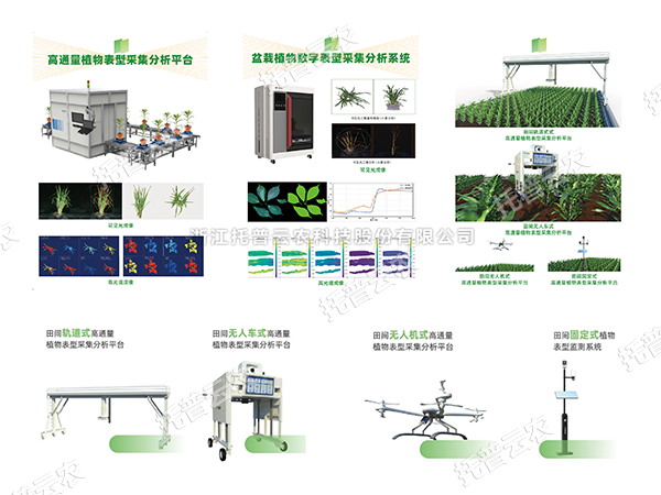 AI+农业新突破！托普高通量植物表型智能分析平台助力智慧农业创新发展