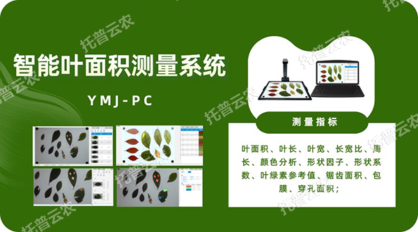 智能叶面积测量系统——秒级快速测叶片，多参数同步解析，云端数据好管理
