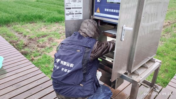 稳粮保产，智守农田| 托普云农植保开灯巡检行动打响“粮食保卫战”
