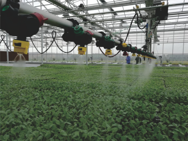 托普云农打造的萧山农科所现代农业示范基地 托普云农打造的萧山农科所现代农业示范基地