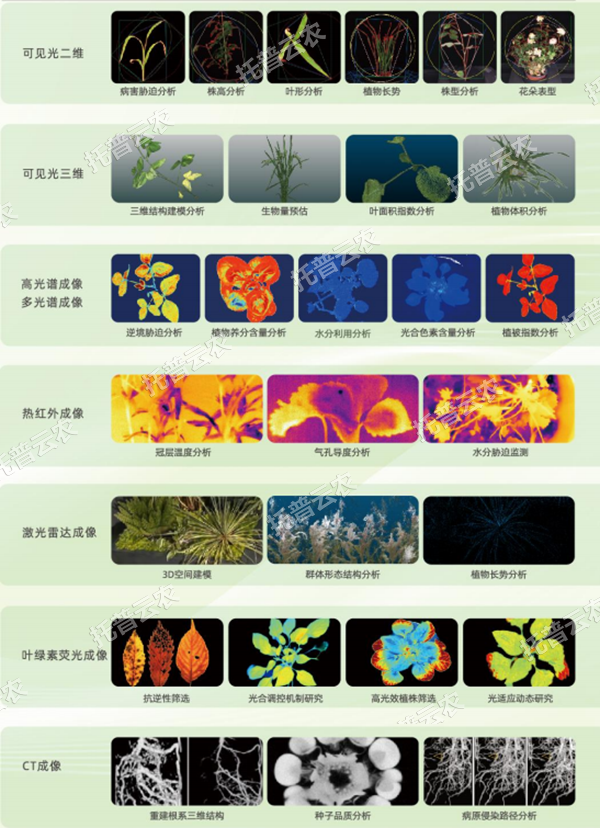 1748591719830673.png 图片2.png