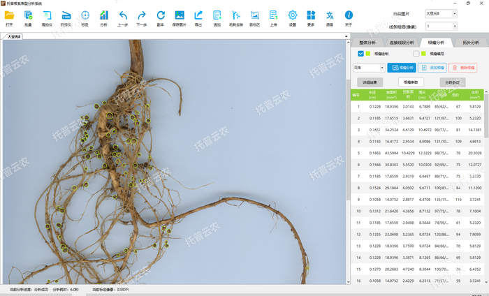 1757053167783464.png 大豆-根瘤分析2.png