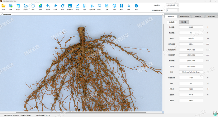 1757053250735676.png 花生-整体分析.png