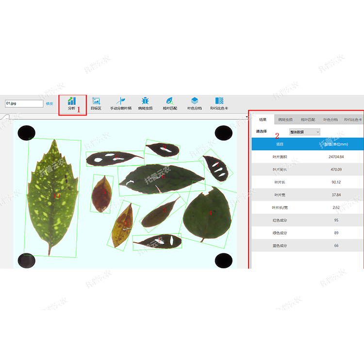 叶面积分析系统界面图.png