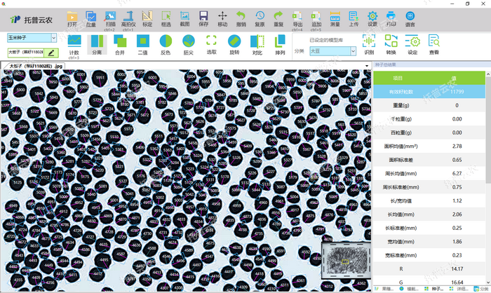 1757405968554223.png 扫描仪玉米籽粒分析.png