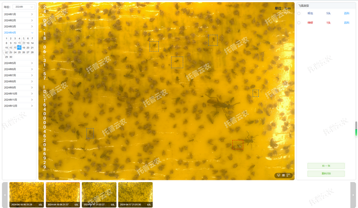 智能识别 自动计数.png