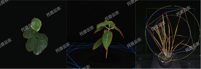 1763627107657474.jpg 温室型高通量植物表型采集分析平台-2维.jpg