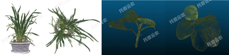 1763627125425014.jpg 温室型高通量植物表型采集分析平台-3维.jpg