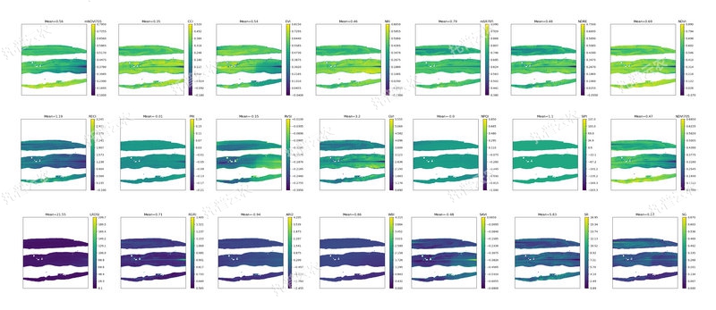 1763627154968648.jpg 温室型高通量植物表型采集分析平台-高光谱-玉米叶.jpg