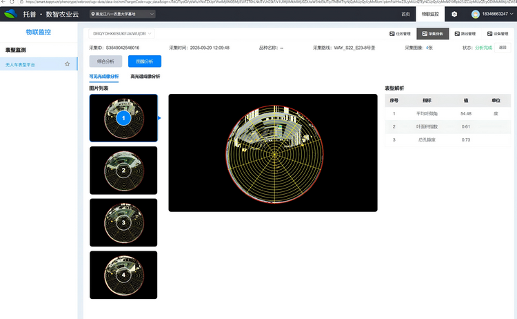 2. 冠层结构分析.png